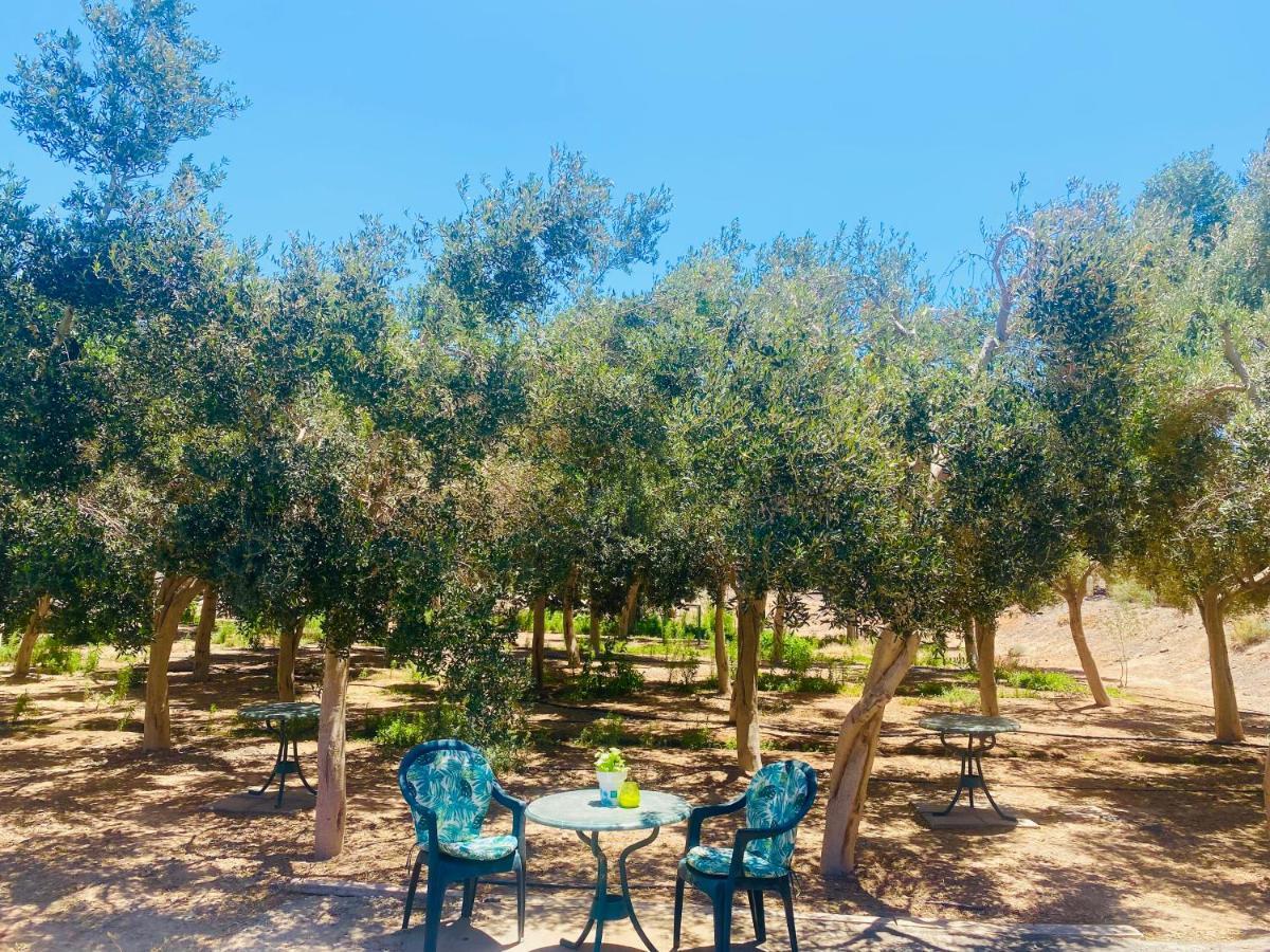 Olive Bungalow Gran Tarajal Eksteriør bilde